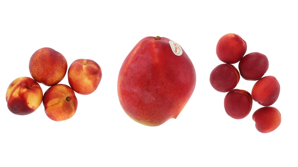 Foodfotografie Obst Freisteller Hollowman Orbitvu