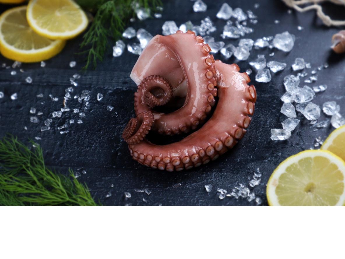 Fotostudio Produktfotografie Poseidon Fisch Viktualienmarkt München