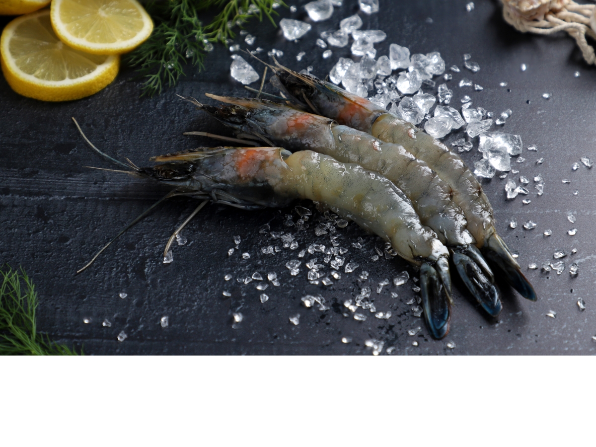 Fotostudio Produktfotografie Poseidon Fisch Viktualienmarkt München