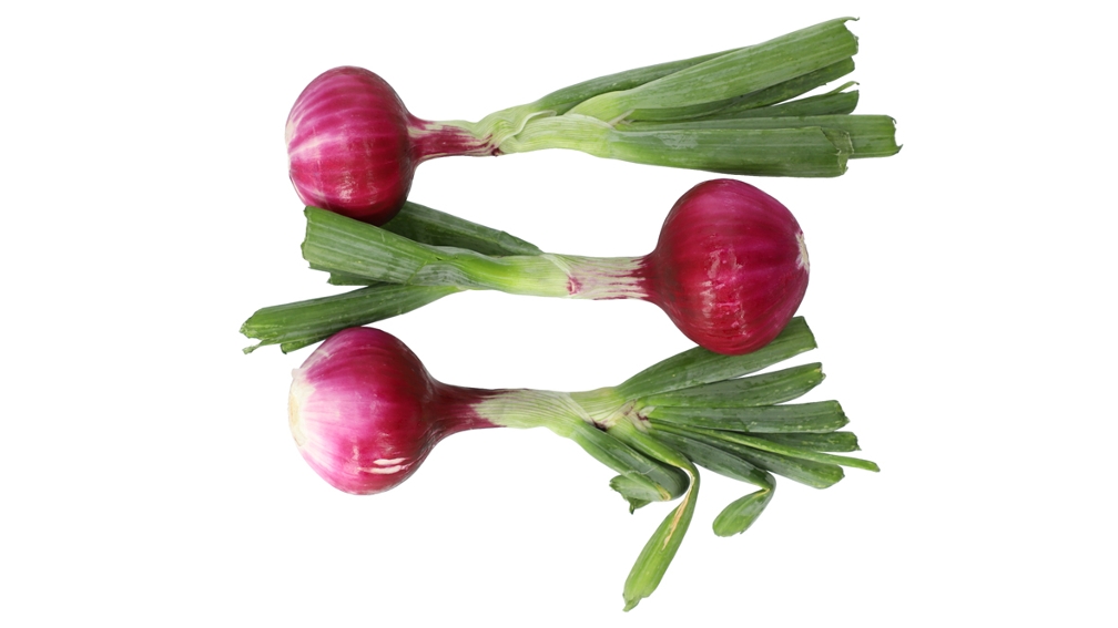 Produktfotografie Foodfotografie Fotostudio